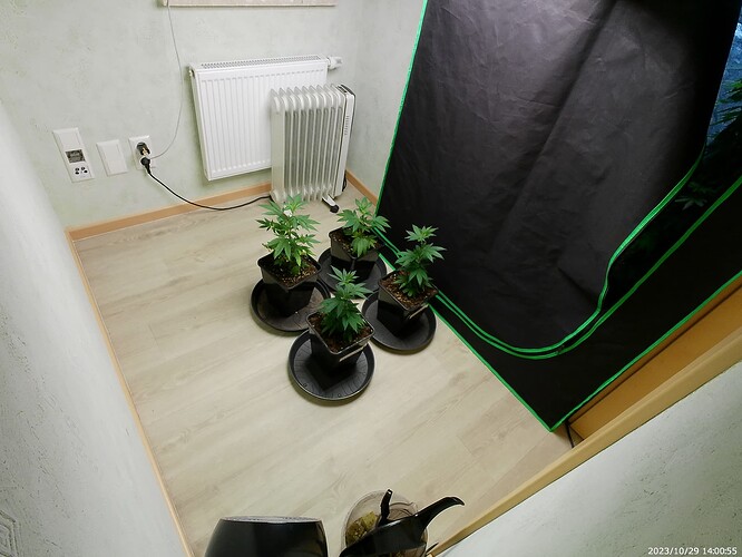 Growreport Bild 27