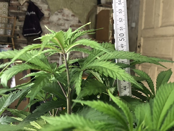 Growreport Bild 8