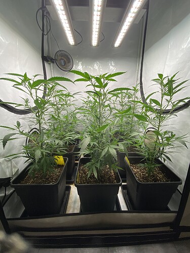 Growreport Bild 11