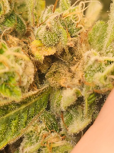 Growreport Bild 14