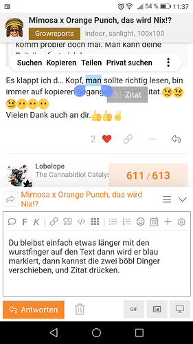 Growreport Bild 67