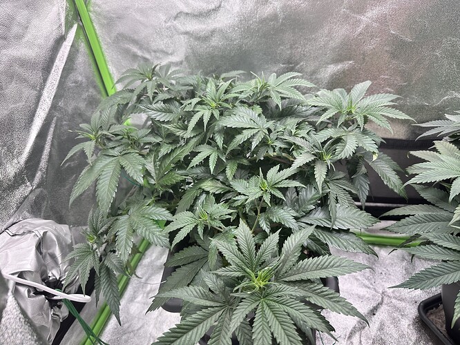 Growreport Bild 8
