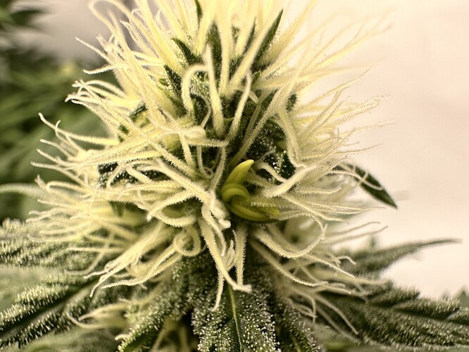 Growreport Bild 11
