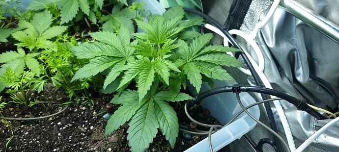 Growreport Bild 11