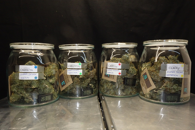Growreport Bild 12