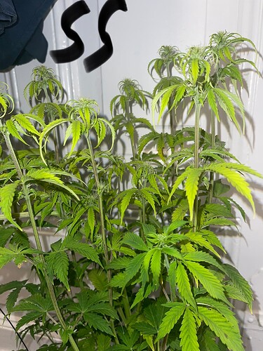 Growreport Bild 17