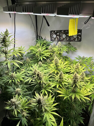 Growreport Bild 5