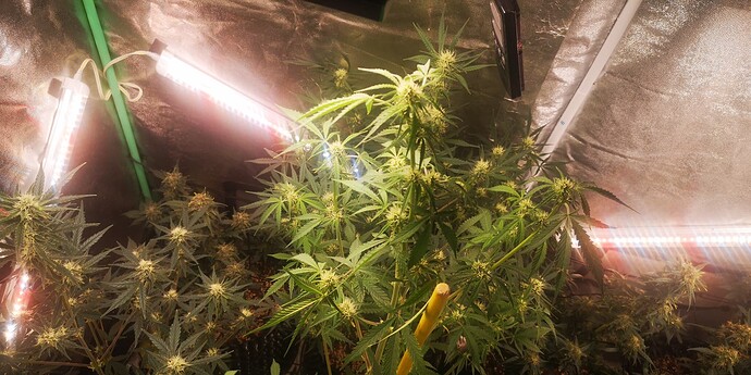 Growreport Bild 15