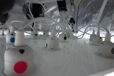 Nahaufnahme von Lampenfassungen mit Kabeln in einer Growbox.