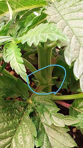 Growreport Bild 10