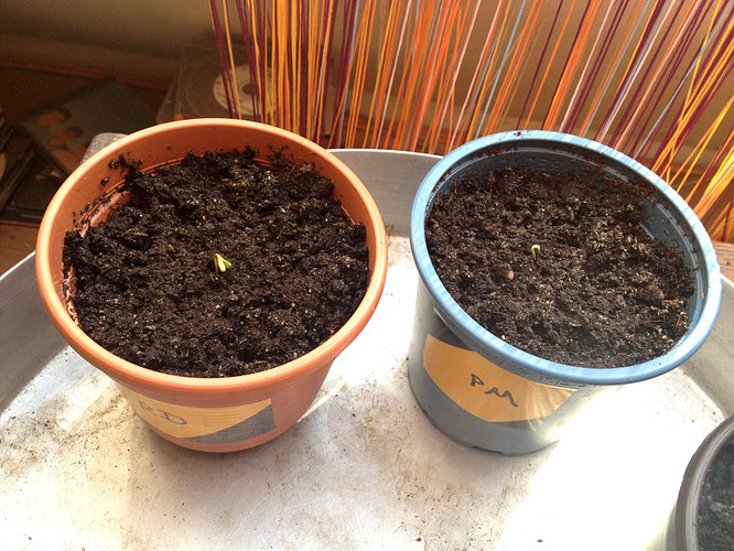Growreport Bild 9