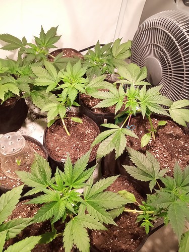 Growreport Bild 10