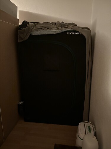 Growreport Bild 27
