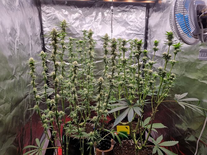 Growreport Bild 13