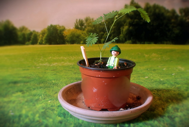Growreport Bild 8
