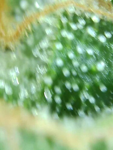 Growreport Bild 21