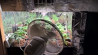 Growreport Bild 5