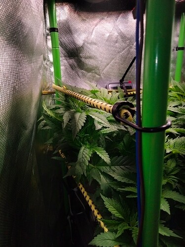 Growreport Bild 5