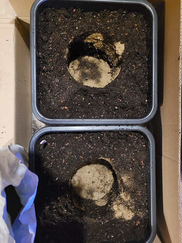 Growreport Bild 19