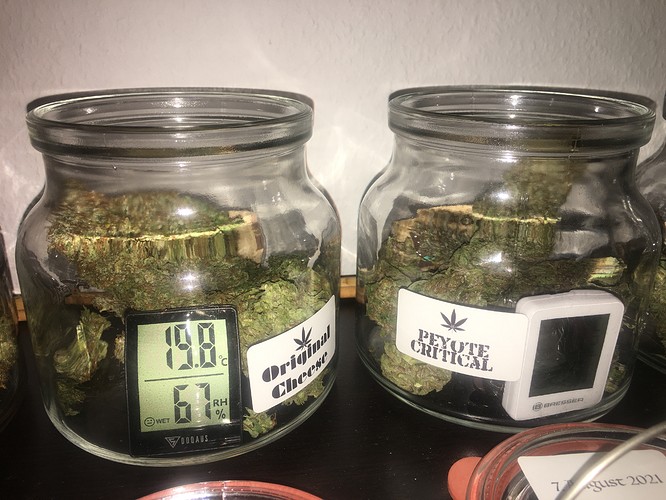 Growreport Bild 5