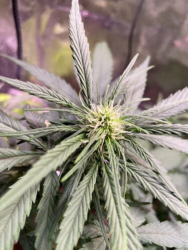 Growreport Bild 12