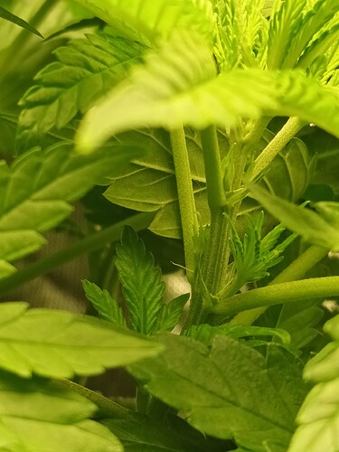 Growreport Bild 16