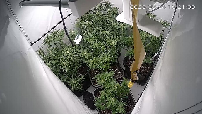 Growreport Bild 7