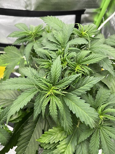 Growreport Bild 15