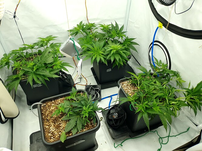Growreport Bild 2