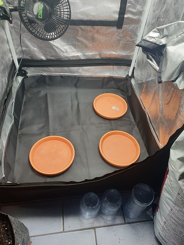 Growreport Bild 4