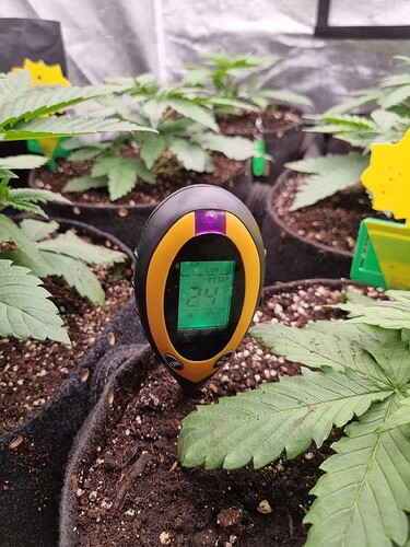 Growreport Bild 55