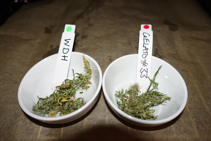 Growreport Bild 28