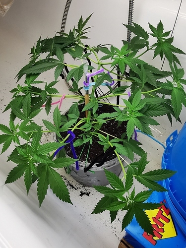 Growreport Bild 11