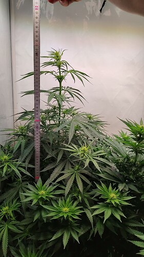 threema-20220727-212437604