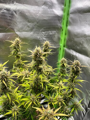 Growreport Bild 11