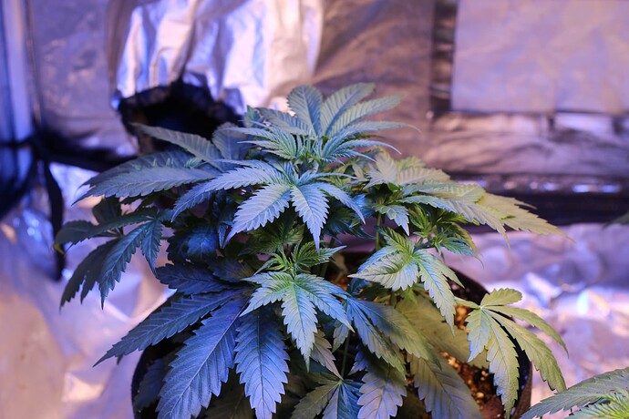 Growreport Bild 21