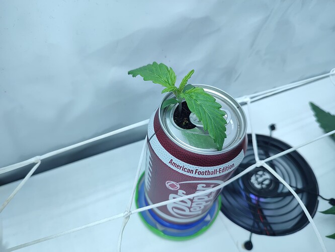 Growreport Bild 14