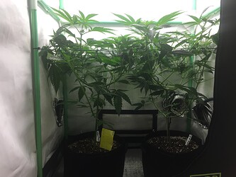 Growreport Bild 20