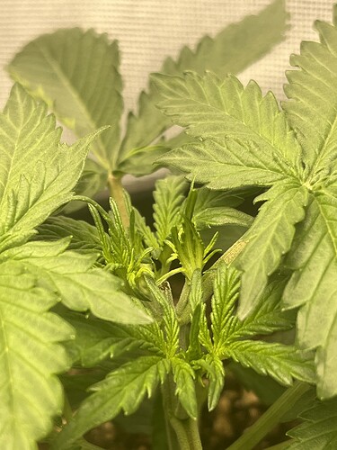 Growreport Bild 17