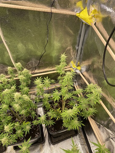 Growreport Bild 7