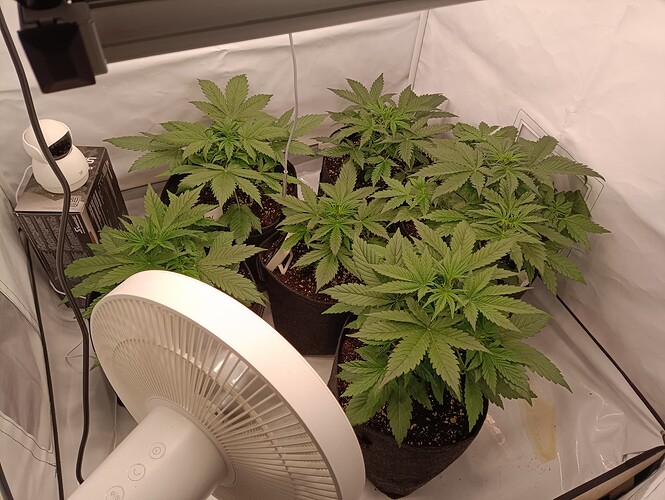 Growreport Bild 6