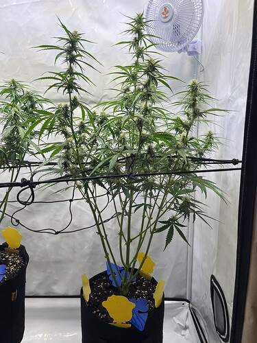 Growreport Bild 16