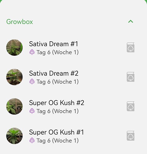 Growreport Bild 1