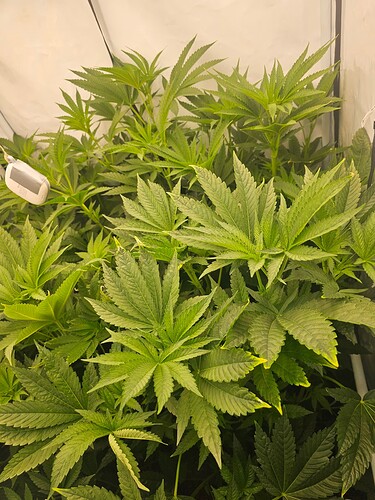 Growreport Bild 12