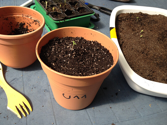 Growreport Bild 83