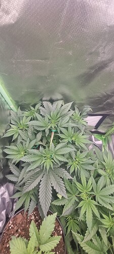 Growreport Bild 10