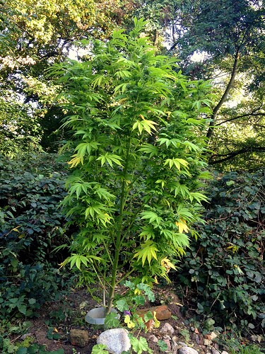 Growreport Bild 24