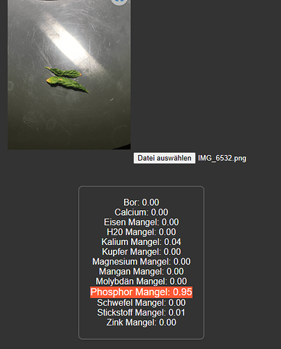 Phosphor Mangel