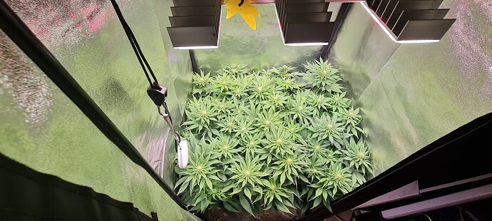 Growreport Bild 2