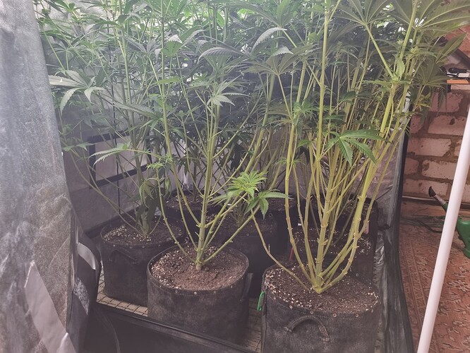 Growreport Bild 20